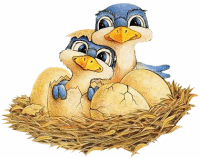 عکس عاشقانه پرندگان